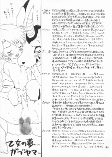 (HaruCC6) [Haniwa Mania, Kuru Guru DNA (Pon Takahanada, Hoshiai Hiro)] Jogress Daihyakka (Digimon Adventure 02) - page 30