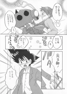 (HaruCC6) [Haniwa Mania, Kuru Guru DNA (Pon Takahanada, Hoshiai Hiro)] Jogress Daihyakka (Digimon Adventure 02) - page 24