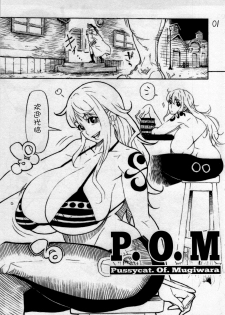 (C85) [Kocho Kocho Koukou (Bonten)] P.O.M (One Piece) [Chinese] [不咕鸟汉化组] - page 2