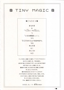 (C58) [ZiP (Moekibara Fumitake)] TINY MAGIC (Shining Sword Romance) - page 4
