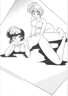 [C-Company] C-COMPANY SPECIAL STAGE 16 (Ranma 1/2, Tonde Buurin) - page 5