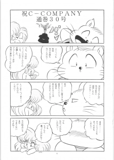 [C-Company] C-COMPANY SPECIAL STAGE 16 (Ranma 1/2, Tonde Buurin) - page 2