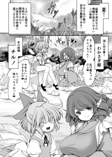[Yosutebito na Mangakaki (Tomoki Tomonori)] Nureru Kiri no Mizuumi (Touhou Project) [Digital] - page 26