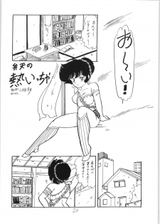 [Ashanti (Kisaragi Sara)] Ranma no Manma 3 (Ranma 1/2) - page 25