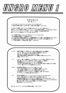 (COMIC1☆4) [Jumelles (Hawkear)] UNGRO MENU 1 (Neon Genesis Evangelion) [Chinese] [魔法汉化] - page 3