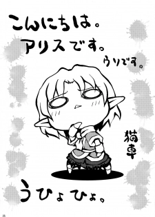 (CCFukuoka23) [Forever and ever... (Eisen)] YugiParu Hon (Touhou Project) - page 24