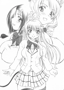 [Studio Wallaby (Nagisa Minami)] Troublekko (To LOVE-Ru) - page 3
