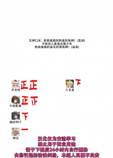 (Reitaisai 16) [Nanika no Heya (Hira)] Zoku Inu no Onee-chan-tachi no Hatsujou (Touhou Project) [Chinese] [狗东西汉化组] - page 28
