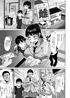 [Sayryu] Tanetsuke Koubinbin - page 8