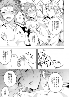(C94) [Shuukyuu Itsukasei (Touya Tsuduru)] XXXX (Granblue Fantasy) - page 14