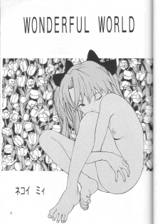 (C53) [Manga Super (Nekoi Mie)] Wonderful World (Neon Genesis Evangelion) - page 2