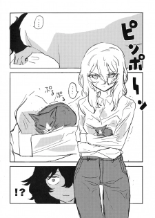 (C95) [2m (Nanasiro)] Howahowa no Neko (Girls und Panzer) - page 23