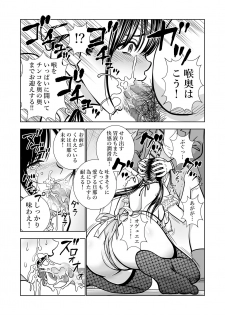 [Hiero] Seisenzuma no Hinkaku - page 28