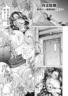[Hino Toshiyuki] Anal Tsuma Kouetsu Inkan - page 23