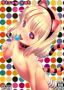 (C96) [Akatama (Sakurafubuki Nel)] Stray cat