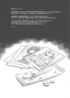 (C96) [Transistor Baby (Hata)] Mayaku Sousakan Reina - page 2