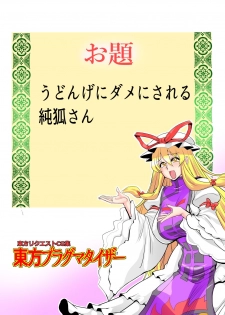 [Danna] Touhou Pragmatizer 32 (Touhou Project) - page 25