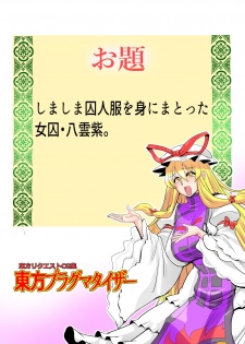 [Danna] Touhou Pragmatizer 32 (Touhou Project) - page 9