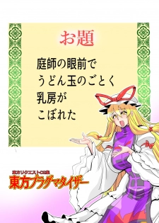 [Danna] Touhou Pragmatizer 32 (Touhou Project) - page 17