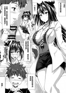 (C85) [INSERT (KEN)] AHEN-KI! 3 (Maken-Ki!) [Chinese] [村长个人汉化] - page 3