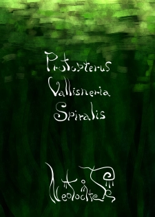 [Neotocite (Taguchi Kirei)] Protopterus Vallisneria Spiralis [Digital] - page 23