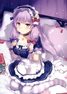 (C96) [Nanairo Otogizoushi (Miyase Mahiro)] SANAstagram (Touhou Project) - page 11
