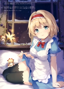 (C96) [Nanairo Otogizoushi (Miyase Mahiro)] SANAstagram (Touhou Project) - page 10