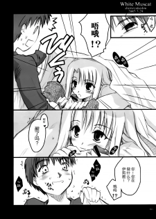 [Shimoyakedou (Ouma Tokiichi)] White Muscat (Fate/stay night) [Chinese] [靴下汉化组] - page 6