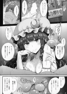(C96) [YuKi-IRo (Yukiusagi.)] Maryoku Shibori (Touhou Project) - page 3