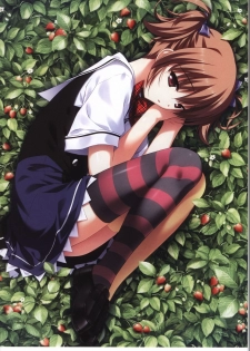 The Fruit of Grisaia Visual FanBook - page 13