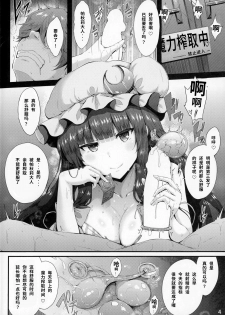 (C96) [YuKi-IRo (Yukiusagi.)] Maryoku Shibori (Touhou Project) [Chinese] [P.B.264个人汉化] - page 4