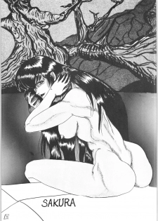 [L-Gauge Sha (Shouryuu)] WA (Ranma 1/2) - page 2