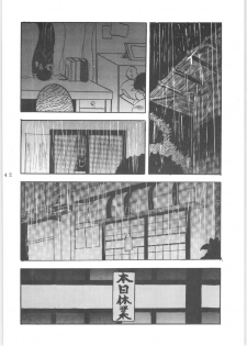 (C43) [L-Gauge Sha (Shouryuu)] WA 2 (Ranma 1/2, Bastard) - page 41