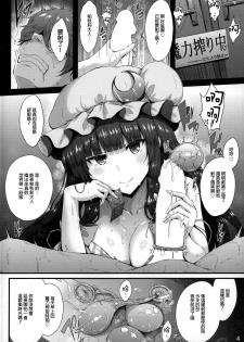 (C96) [YuKi-IRo (Yukiusagi.)] Maryoku Shibori (Touhou Project) [Chinese] [废欲加速汉化] - page 4