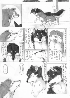 (Kansai! Kemoket 2) [KTQ48 (Various)] KTQ 5 - page 20