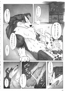 (Kansai! Kemoket 2) [KTQ48 (Various)] KTQ 5 - page 11