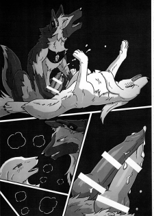 (Kansai! Kemoket 3) [KTQ48 (Various)] KTQ 7 - page 17