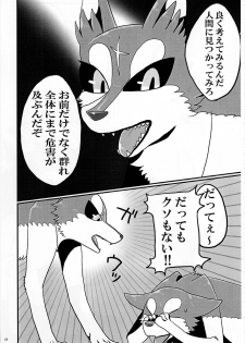 (Kansai! Kemoket 3) [KTQ48 (Various)] KTQ 7 - page 45