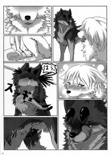 (Kansai! Kemoket 3) [KTQ48 (Various)] KTQ 7 - page 33
