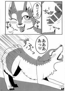 (Kansai! Kemoket 3) [KTQ48 (Various)] KTQ 7 - page 47