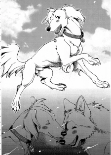 (Kansai! Kemoket 3) [KTQ48 (Various)] KTQ 7 - page 28