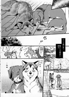 (Kansai! Kemoket 4) [KTQ48 (Various)] KTQ9 - page 14