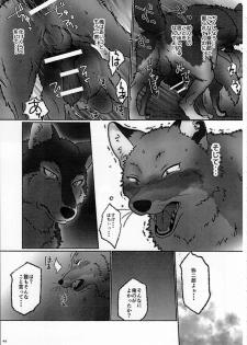 (Kansai! Kemoket 4) [KTQ48 (Various)] KTQ9 - page 43