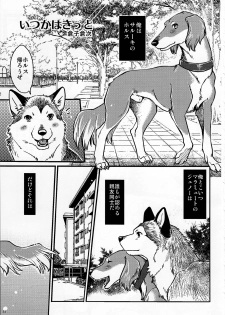 (Kansai! Kemoket 4) [KTQ48 (Various)] KTQ9 - page 11