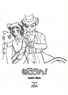 (Fur-st) [Colt-Run (Colulun, Minami Kohto)] Neko-ON! (The Cat Returns) [Chinese] [逃亡者x新桥月白日语社汉化] - page 3