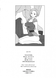 (COMIC1☆15) [VOLVOX (Kizaki)] Mamono no Hanayome - Devil's Bride (Dragon Quest V) - page 17