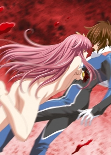 [Henreikai (Kawarajima Koh)] MEER CLIP (Gundam SEED DESTINY) - page 25