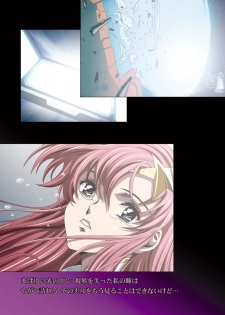 [Henreikai (Kawarajima Koh)] MEER CLIP (Gundam SEED DESTINY) - page 31