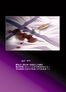 [Henreikai (Kawarajima Koh)] MEER CLIP (Gundam SEED DESTINY) - page 29