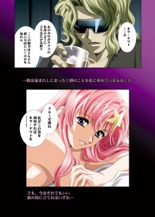 [Henreikai (Kawarajima Koh)] MEER CLIP (Gundam SEED DESTINY) - page 10